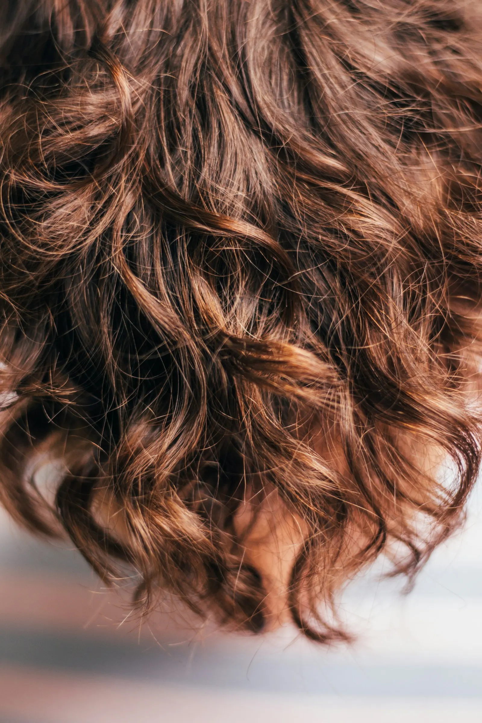 Beautiful curly hair texture
